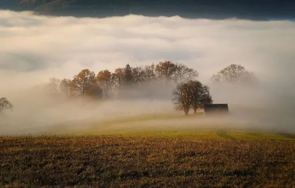 Картинка поле, осень, трава, деревья, горы, туман, утро, дымка, домик, раннее, стелется