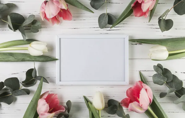 Картинка цветы, рамка, тюльпаны, розовые, white, белые, wood, pink, flowers, beautiful, tulips, spring, frame