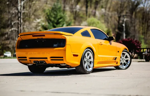 Картинка Mustang, Ford, 2008, Saleen, S302, Extreme
