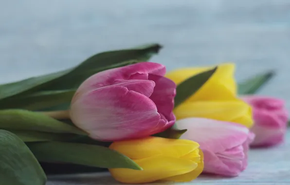 Картинка цветы, букет, желтые, тюльпаны, розовые