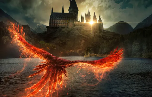Картинка река, замок, феникс, постер, Fantastic Beasts: The Secrets of Dumbledore, Фантастические твари: Тайны Дамблдора