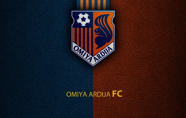 Картинка wallpaper, sport, logo, football, Omiya Ardija