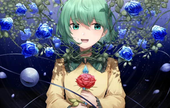 Картинка девушка, розы, Touhou, синие розы, Koishi Komeiji, Тохо, Тоухоу