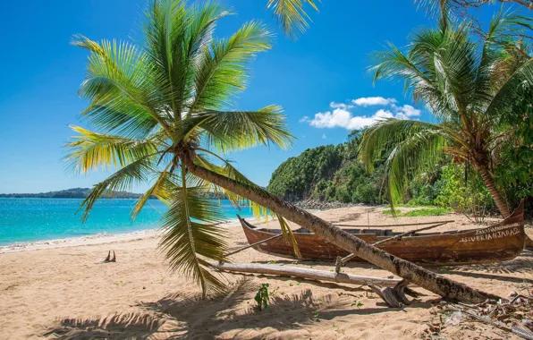Картинка пляж, тропики, пальмы, океан, лодка, остров, экзотика, Мадагаскар, Madagascar