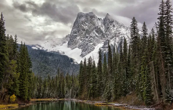 Картинка зима, небо, снег, деревья, горы, тучи, природа, скалы, Канада, British Columbia, Columbia-Shuswap