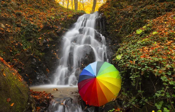 Картинка осень, лес, камни, скалы, берег, водопад, радуга, поток, зонт, каскад, цвета радуги, лианы, осенние листья