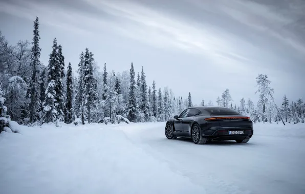 Картинка зима, дорога, лес, снег, чёрный, Porsche, 2020, Taycan, Taycan 4S