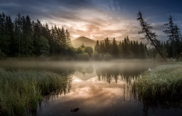 Картинка горы, туман, утро, Австрия, Steiermark
