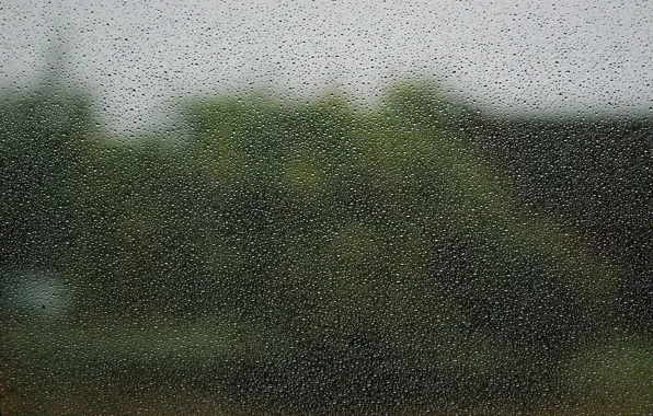 Картинка капли, деревья, тучи, дождь, размытость, окно