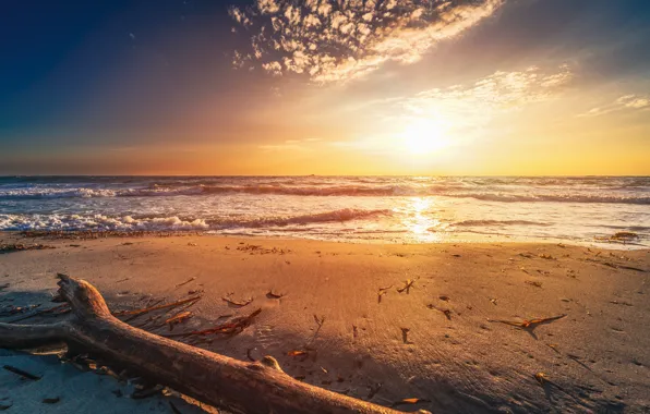 Картинка песок, море, волны, пляж, солнце, свет, берег, бревно