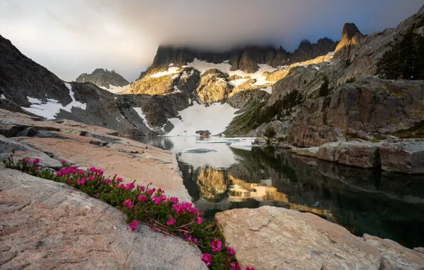 Картинка цветы, горы, озеро, камни, скалы