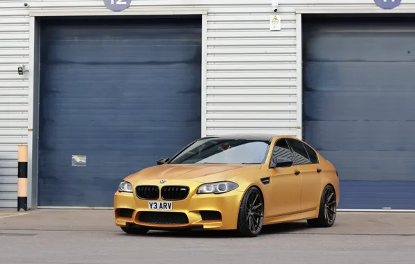 Картинка BMW, F10, Gold, M5