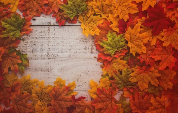 Картинка осень, листья, фон, дерево, colorful, доска, wood, background, autumn, leaves, осенние, maple