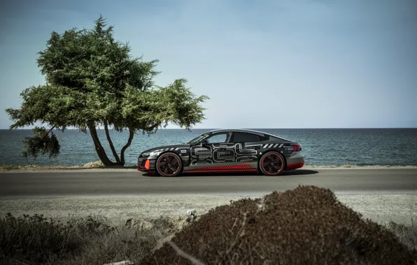 Картинка дорога, дерево, Audi, купе, сбоку, 2020, RS e-Tron GT Prototype