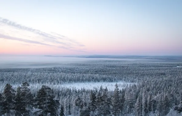 Картинка Nature, Sky, Wood, Winter, Landscape, Snow, Trees, Cold, Maria Vojtovicova