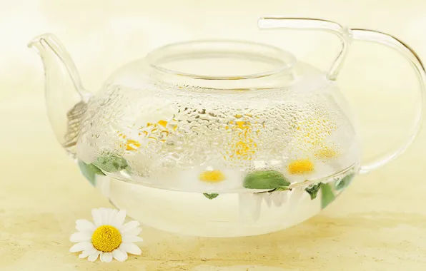 Картинка капли, цветы, прозрачный, чай, стеклянный, ромашки, чайник, ромашковый