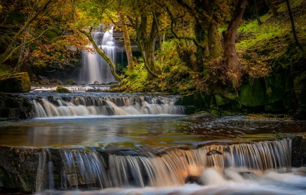 Картинка осень, лес, деревья, камни, Англия, водопад, County Durham