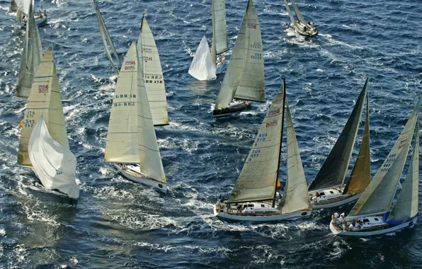 Картинка море, гонка, спорт, яхты, лодки, паруса, регата, Rolex Swan Cup