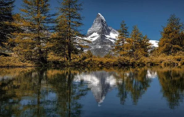 Картинка осень, деревья, озеро, отражение, гора, Швейцария, Альпы, вершина, Switzerland, Alps, Zermatt, Церматт, Grindjisee, Matterhorn Mountain, …