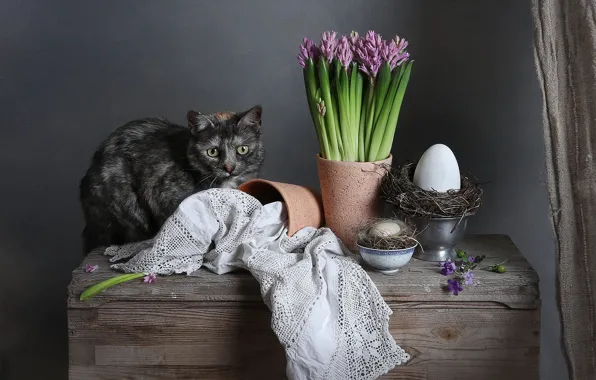 Картинка кошка, кот, доски, яйцо, яйца, букет, весна, Пасха, гнездо, ткань, белая, розовые, миска, серая, натюрморт, …