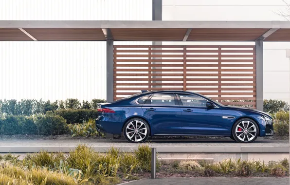 Картинка Jaguar, стоянка, седан, в профиль, Jaguar XF, 2020, XF