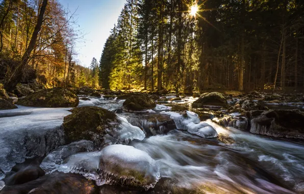 Картинка лес, река, камни, лёд, Czech Republic, Национальный парк Шумава, Šumava National Park, Река Выдра, River …