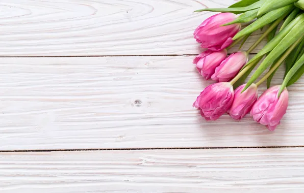Картинка цветы, тюльпаны, розовые, fresh, wood, pink, flowers, tulips