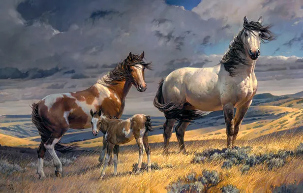 Картинка поле, облака, ветер, холмы, рисунок, кони, картина, лошади, арт, три, живопись, жеребенок, Nancy Glazier
