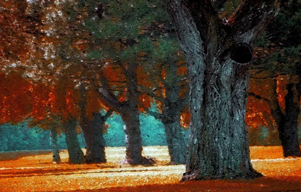 Картинка осень, лес, капли, деревья, ветки, природа, парк, листва, обработка, текстура, пятна, дупло