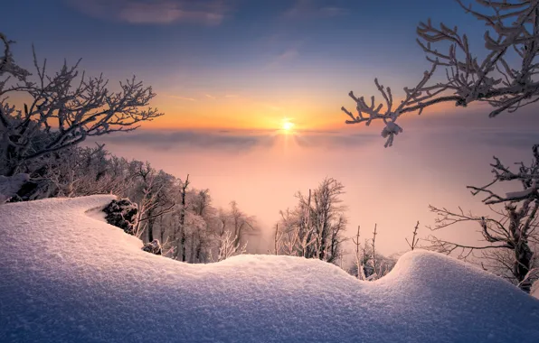 Картинка зима, снег, деревья, ветки, восход, рассвет, утро, сугробы, Словакия, Radoslav Cernicky, Малые Карпаты
