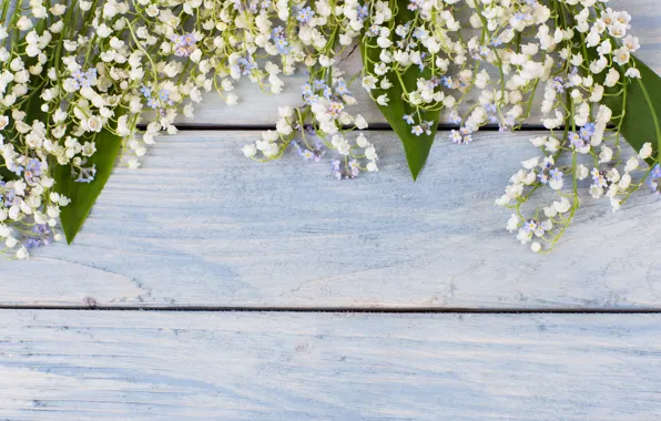 Картинка цветы, букет, весна, white, ландыши, wood, flowers, spring, lily of the valley