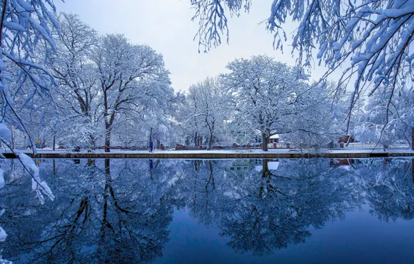 Картинка зима, иней, снег, деревья, ветки, пруд, парк, отражение, набережная, водоем