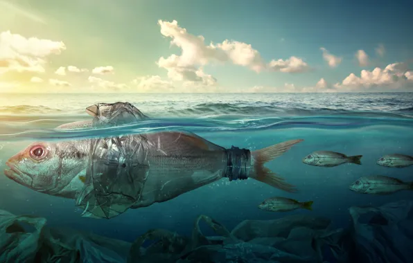 Картинка море, рыбки, мусор, океан, бутылка, загрязнение, рыба, пластик, sea, ocean, fish, пакеты