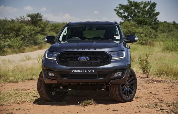 Картинка Ford, вид спереди, Sport, Everest, 4WD, 2021