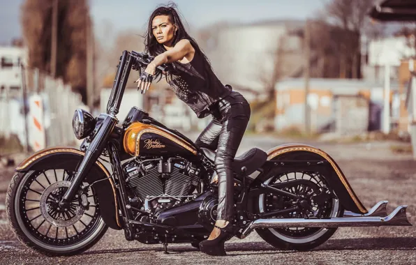 Картинка Harley-Davidson, Custom, Motorcycle, Thunderbike, By Thunderbike, La Candela, Heavy Road Bike