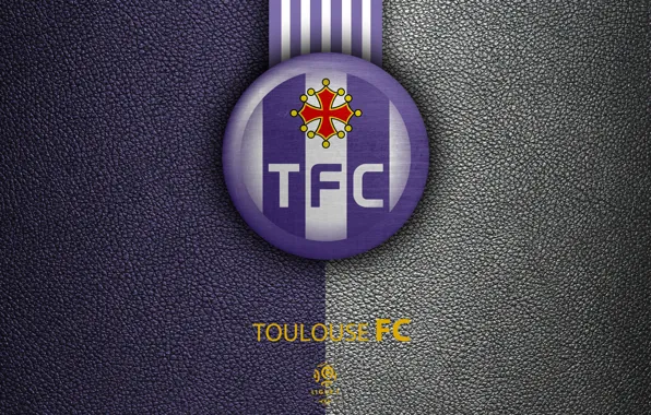 Картинка wallpaper, sport, logo, football, Ligue 1, Toulouse