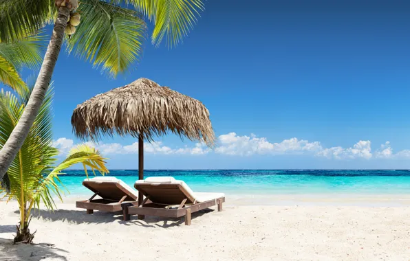 Картинка песок, море, пляж, отдых, beach, sea, sand, paradise, vacation, palms, tropical