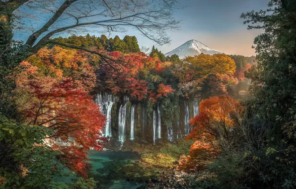 Картинка осень, листья, деревья, ветки, вечер, Япония, Japan, водопады, autumn, waterfalls, пасмурность, Фудзияма, осень в Японии