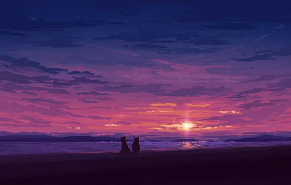 Картинка море, небо, кошки, закат