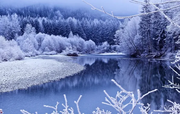 Картинка зима, снег, деревья, озеро, winter, lake, snow, tree
