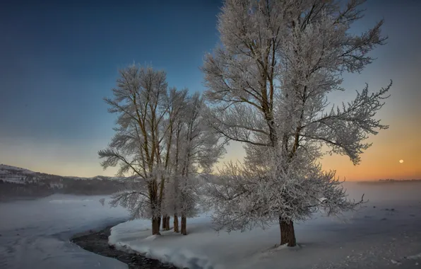 Картинка зима, снег, деревья, пейзаж, природа, река, рассвет, утро, долина, США, Йеллоустоун, Yellowstone, национальный парк, National …