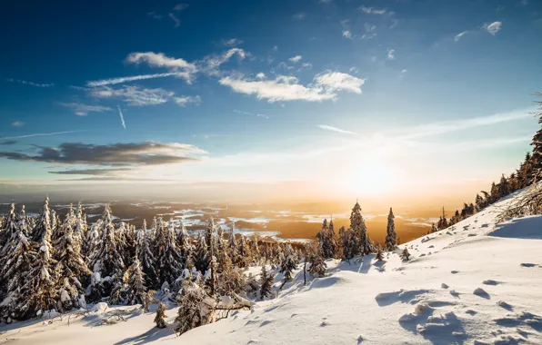 Картинка зима, лес, небо, солнце, снег, пейзаж, природа, гора