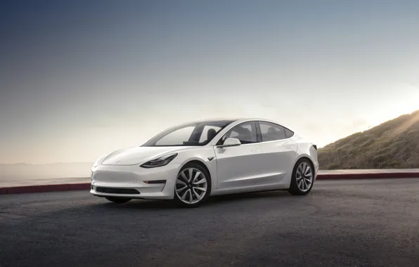 Картинка Tesla, Model 3, 2017