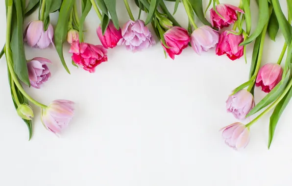 Картинка тюльпаны, pink, flowers, tulips