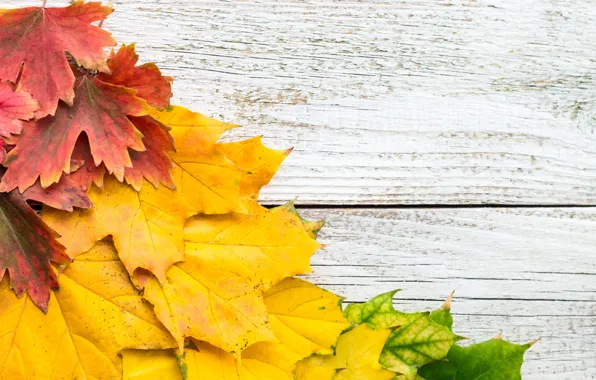Картинка осень, листья, фон, colorful, клен, yellow, wood, autumn, leaves, maple
