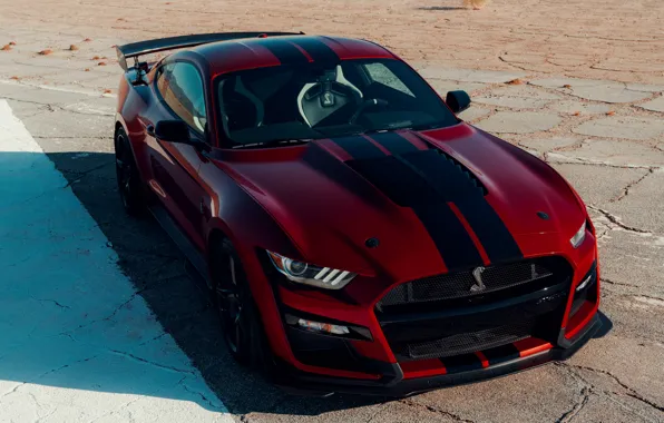 Картинка Mustang, Ford, Shelby, GT500, тень, кровавый, 2019