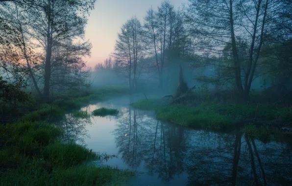 Картинка fog, grassland, stream