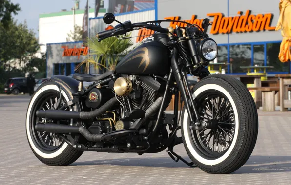Картинка Bike, Harley-Davidson, Custom, Thunderbike