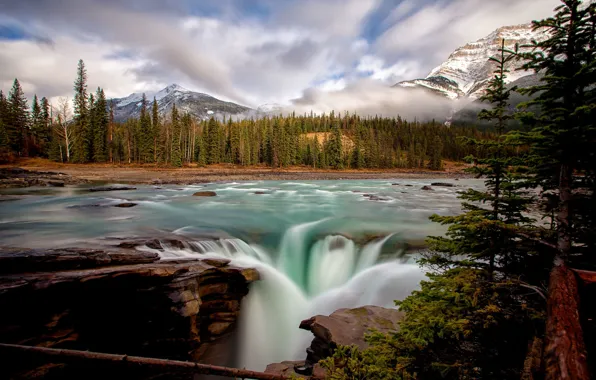 Картинка лес, деревья, горы, река, водопад, ели, Канада, Альберта, Alberta, Canada, Jasper National Park, Скалистые горы, …