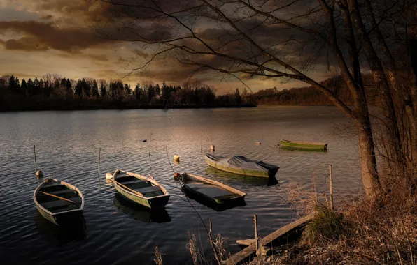 Картинка осень, лес, деревья, тучи, озеро, река, берег, лодки, вечер, водоем, хмурое небо